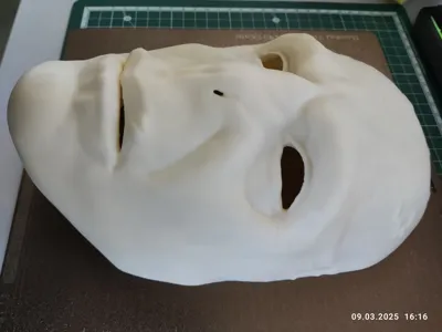 https://makerworld.bblmw.com/makerworld/model/928928/892557/ratings/8867e060-fcf9-11ef-a875-8b19b40577ec.jpg