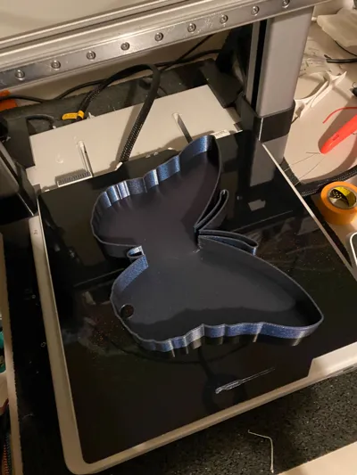 https://makerworld.bblmw.com/makerworld/model/930510/894332/ratings/2764e780-c24d-11f0-a2b7-ffcb73632c2b.jpg