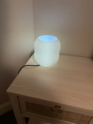 https://makerworld.bblmw.com/makerworld/model/93065/99497/ratings/32532a10-faf4-11ef-85ce-3574b973e745.jpg