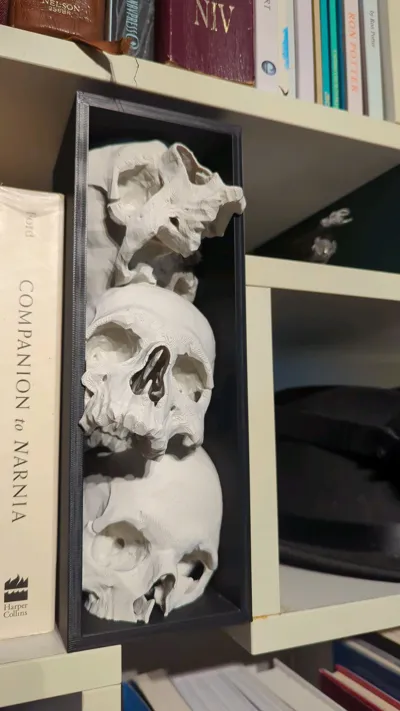 https://makerworld.bblmw.com/makerworld/model/931049/895010/ratings/7b489da0-4459-11f0-ac97-c9421c555c4d.jpg