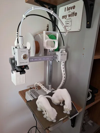 https://makerworld.bblmw.com/makerworld/model/931999/896059/ratings/e4c4de20-5358-11f0-9ed1-c343914413e7.jpg
