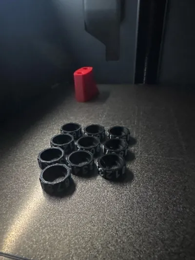 https://makerworld.bblmw.com/makerworld/model/934451/898992/ratings/94817890-737b-11f0-97ec-8da3344e1fba.jpg
