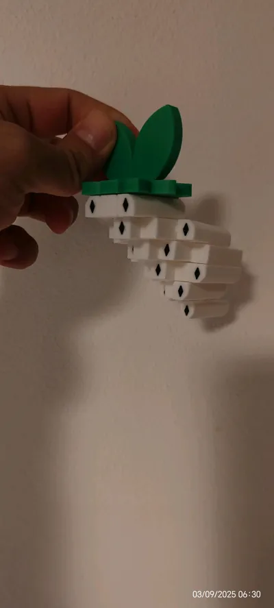 https://makerworld.bblmw.com/makerworld/model/934675/899270/ratings/9d29e030-8fe7-11f0-a60d-b3d85d7d8705.jpg