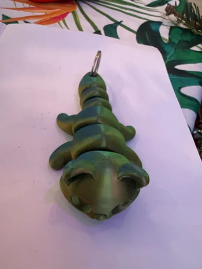 https://makerworld.bblmw.com/makerworld/model/935693/900482/ratings/d9c6f360-eb0a-11f0-8c8f-eb82be8463ec.jpg