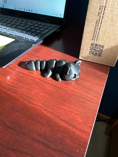 https://makerworld.bblmw.com/makerworld/model/935693/900482/ratings/f1bbc530-f493-11f0-b278-e7de4263125d.jpg