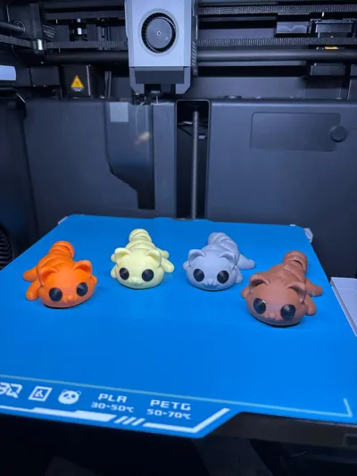 https://makerworld.bblmw.com/makerworld/model/935693/900484/ratings/c14977c0-1187-11f0-9bf9-1bf8688756de.jpg