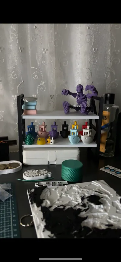 https://makerworld.bblmw.com/makerworld/model/935859/900684/ratings/8c09b9d0-fdaa-11ef-bf04-5bd815224114.jpg