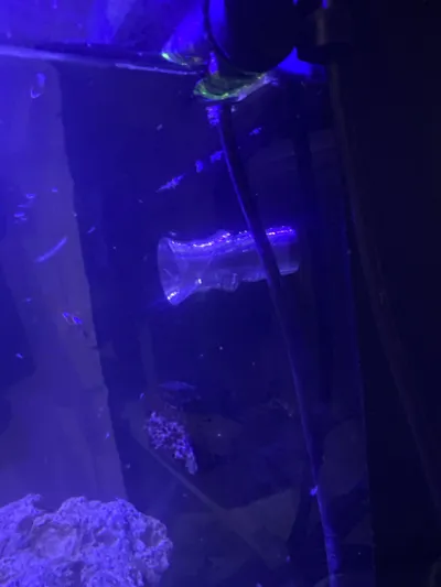 https://makerworld.bblmw.com/makerworld/model/938878/904215/ratings/ae2c0c00-a2e8-11f0-9921-3539d2a5f16d.jpg