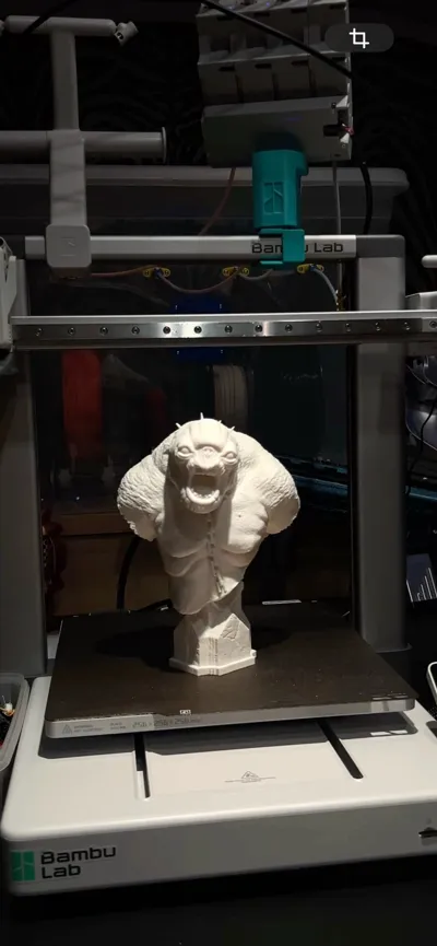 https://makerworld.bblmw.com/makerworld/model/939974/906359/ratings/cd185b30-a3bc-11f0-8259-9b495a5faa76.jpg