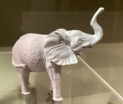 https://makerworld.bblmw.com/makerworld/model/941932/907821/ratings/2026-01-04_1036207f9ed8b.jpg