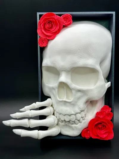 https://makerworld.bblmw.com/makerworld/model/942970/908992/ratings/f1567ff0-0b81-11f0-a091-a1b846a7b426.jpg