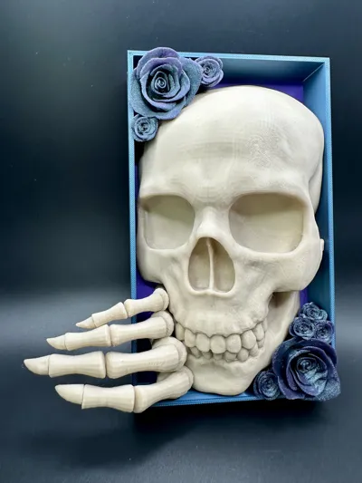 https://makerworld.bblmw.com/makerworld/model/942970/908992/ratings/f187f030-0b81-11f0-a091-a1b846a7b426.jpg