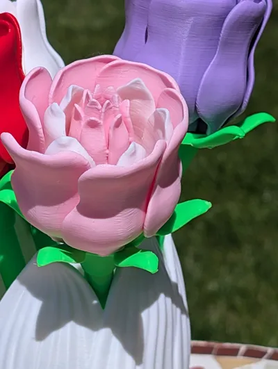 https://makerworld.bblmw.com/makerworld/model/943287/1090963/ratings/446c4f30-2ee6-11f0-8cb2-07826936f419.jpg