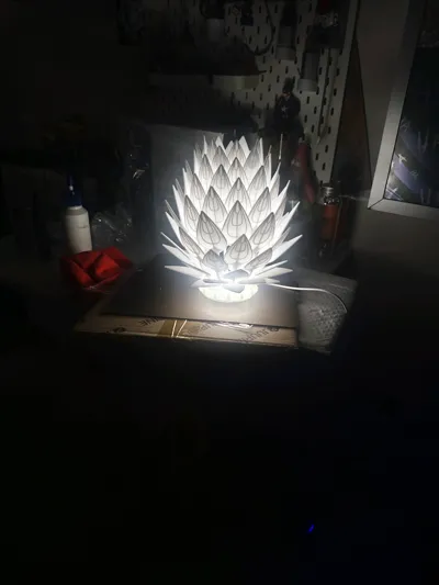 https://makerworld.bblmw.com/makerworld/model/944155/942573/ratings/054b4270-7815-11f0-bc76-bbb8498916c9.jpg