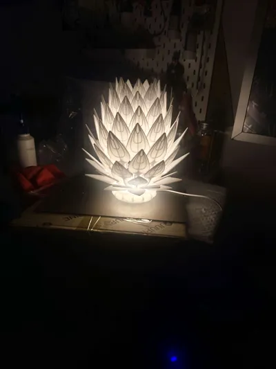 https://makerworld.bblmw.com/makerworld/model/944155/942573/ratings/054fd650-7815-11f0-bc76-bbb8498916c9.jpg