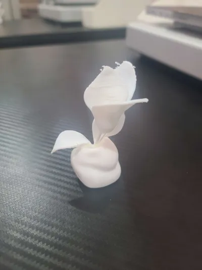 https://makerworld.bblmw.com/makerworld/model/944445/910714/ratings/6340c3b0-1bfd-11f0-b1de-a98398a5e883.jpg