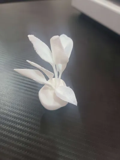 https://makerworld.bblmw.com/makerworld/model/944445/910714/ratings/634641f0-1bfd-11f0-b1de-a98398a5e883.jpg