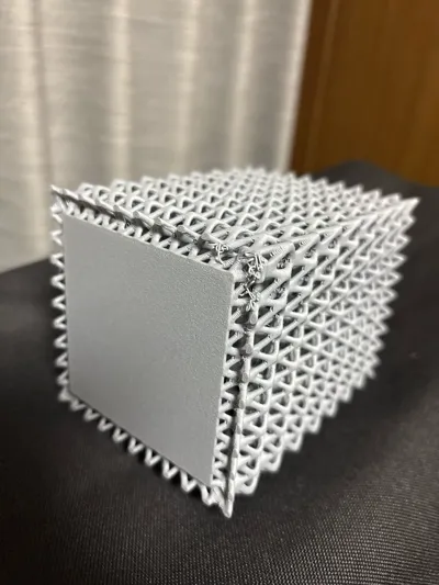 https://makerworld.bblmw.com/makerworld/model/944988/911473/ratings/2e98ed10-d05f-11f0-92a8-e506fbd7f670.jpg