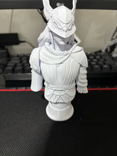 https://makerworld.bblmw.com/makerworld/model/947089/914789/ratings/eae8efd0-287e-11f0-9d73-3f6de9e3bfb2.jpg
