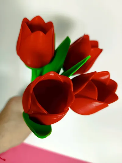 https://makerworld.bblmw.com/makerworld/model/94713/110536/ratings/cefc29d0-8b67-11f0-962e-915aff1cafd7.jpg