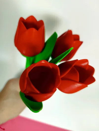 https://makerworld.bblmw.com/makerworld/model/94713/110536/ratings/cf01cf20-8b67-11f0-962e-915aff1cafd7.jpg