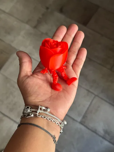 https://makerworld.bblmw.com/makerworld/model/947397/914460/ratings/0d83f920-4d84-11f0-86b5-2d09e8c2ef26.jpg