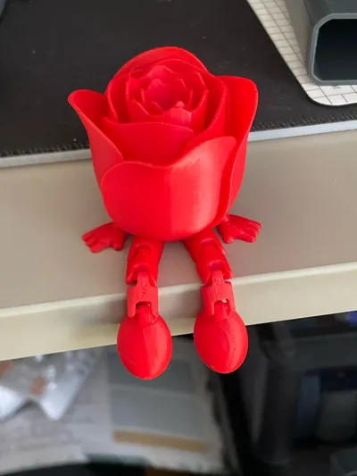 https://makerworld.bblmw.com/makerworld/model/947397/914460/ratings/0e61d0f0-81c4-11f0-91d2-0fe3c43fc092.jpg