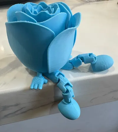 https://makerworld.bblmw.com/makerworld/model/947397/914460/ratings/2c8e3c90-fb2b-11f0-b1d9-730683b53546.jpg
