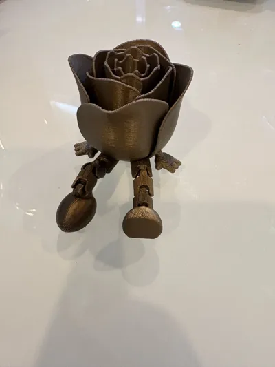 https://makerworld.bblmw.com/makerworld/model/947397/914460/ratings/2cabd6b0-fb2b-11f0-b1d9-730683b53546.jpg