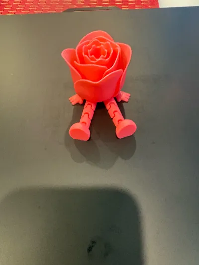 https://makerworld.bblmw.com/makerworld/model/947397/914460/ratings/2cac24d0-fb2b-11f0-b1d9-730683b53546.jpg