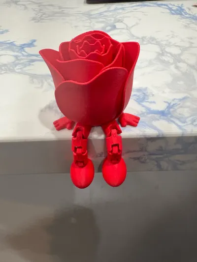 https://makerworld.bblmw.com/makerworld/model/947397/914460/ratings/2cadab70-fb2b-11f0-b1d9-730683b53546.jpg