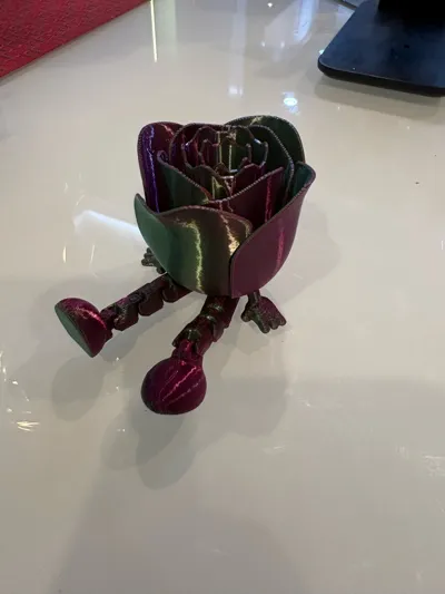 https://makerworld.bblmw.com/makerworld/model/947397/914460/ratings/2caf0b00-fb2b-11f0-b1d9-730683b53546.jpg