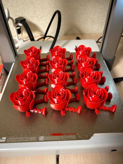 https://makerworld.bblmw.com/makerworld/model/947397/914460/ratings/33f7a990-ff9a-11ef-83b6-17903f337c45.jpg