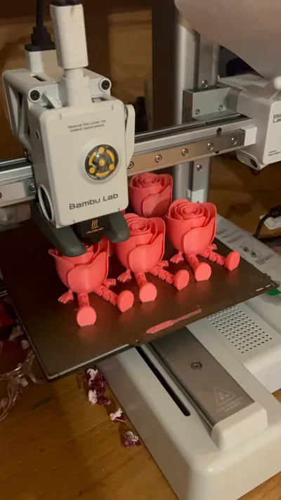 https://makerworld.bblmw.com/makerworld/model/947397/914460/ratings/3d62da00-3536-11f0-a816-2b5917deb2bb.jpg
