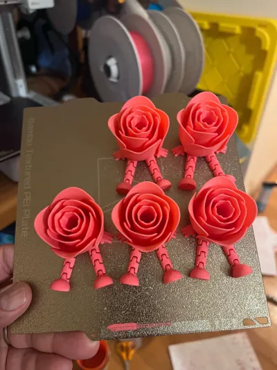 https://makerworld.bblmw.com/makerworld/model/947397/914460/ratings/3d7ec670-3536-11f0-a816-2b5917deb2bb.jpg