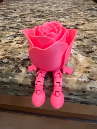 https://makerworld.bblmw.com/makerworld/model/947397/914460/ratings/3db71480-3536-11f0-a816-2b5917deb2bb.jpg