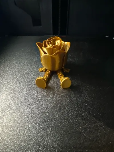 https://makerworld.bblmw.com/makerworld/model/947397/914460/ratings/5e9e0500-7c44-11f0-9e07-0919e65f0f7d.jpg