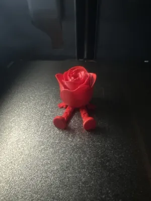 https://makerworld.bblmw.com/makerworld/model/947397/914460/ratings/6fa3fc30-e6e2-11ef-9121-0d0957493b7e.jpg