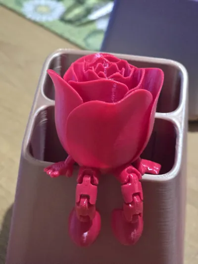 https://makerworld.bblmw.com/makerworld/model/947397/914460/ratings/8d7b7870-1ad9-11f0-9074-cd8f6b108b7c.jpg