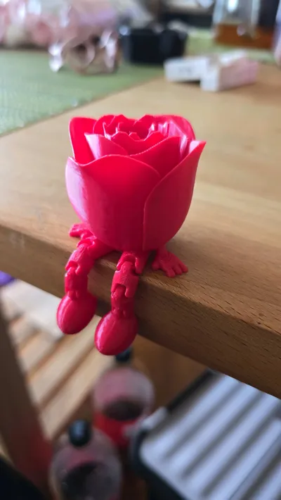 https://makerworld.bblmw.com/makerworld/model/947397/914460/ratings/8d7f9720-1ad9-11f0-9074-cd8f6b108b7c.jpg