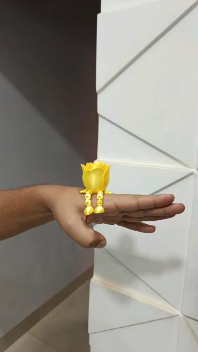 https://makerworld.bblmw.com/makerworld/model/947397/914460/ratings/a6b16170-8bcb-11f0-890d-b935bdeb9a99.jpg