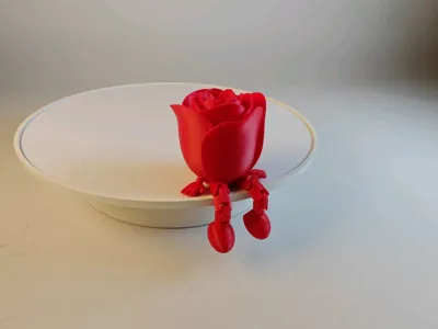 https://makerworld.bblmw.com/makerworld/model/947397/914460/ratings/b533d510-1e08-11f0-bc9c-81ea2dac4244.jpg