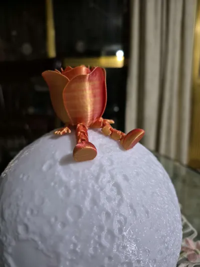 https://makerworld.bblmw.com/makerworld/model/947397/914460/ratings/e949a550-5d50-11f0-a04e-454c98c2e3be.jpg