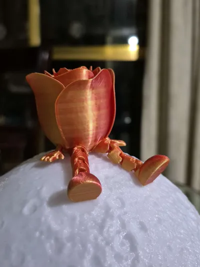 https://makerworld.bblmw.com/makerworld/model/947397/914460/ratings/e94bef40-5d50-11f0-a04e-454c98c2e3be.jpg