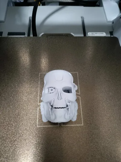 https://makerworld.bblmw.com/makerworld/model/947717/914881/ratings/49f398c0-7bba-11f0-93aa-356a85382cd6.jpg