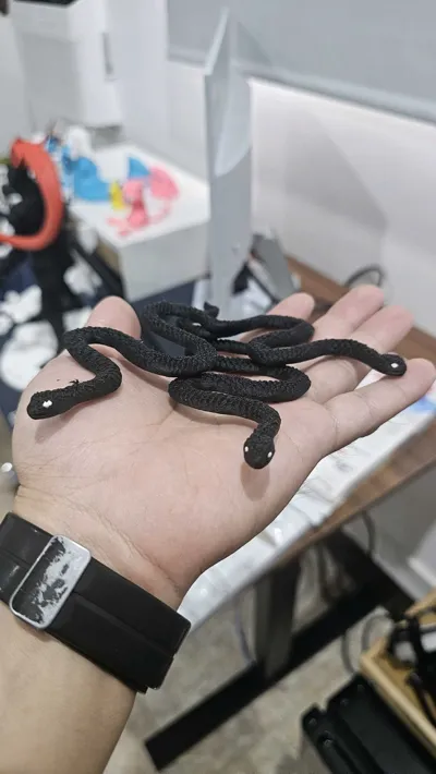 https://makerworld.bblmw.com/makerworld/model/947902/915116/ratings/355e0590-167e-11f0-91fa-8d7c3de07855.jpg