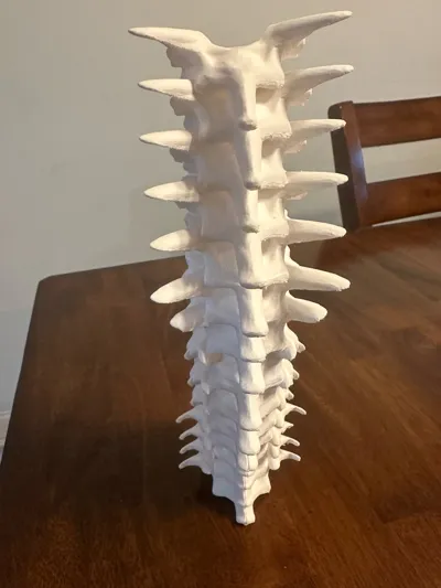 https://makerworld.bblmw.com/makerworld/model/94822/101370/ratings/5a258940-f4b6-11f0-8397-f13af18a0b81.jpg