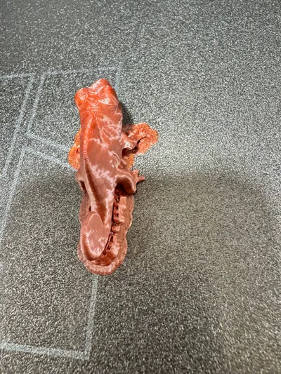 https://makerworld.bblmw.com/makerworld/model/949851/917576/ratings/a503e430-f0c3-11f0-acd5-a35a12c000b3.jpg