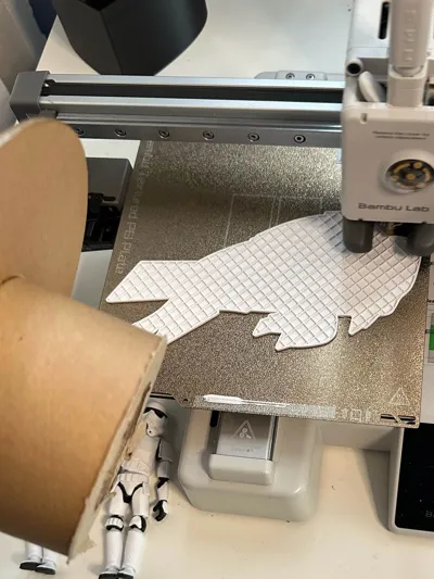 https://makerworld.bblmw.com/makerworld/model/950342/918155/ratings/200d4930-2484-11f0-96d3-a7abb293e04e.jpg