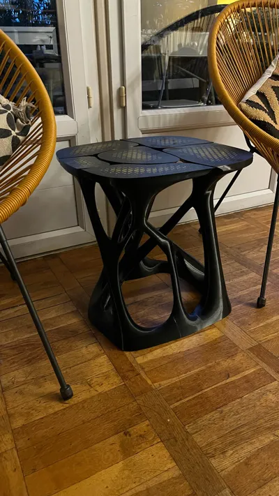 https://makerworld.bblmw.com/makerworld/model/950521/918373/ratings/fc53bd80-ac46-11f0-a167-dd9f5abe0771.jpg